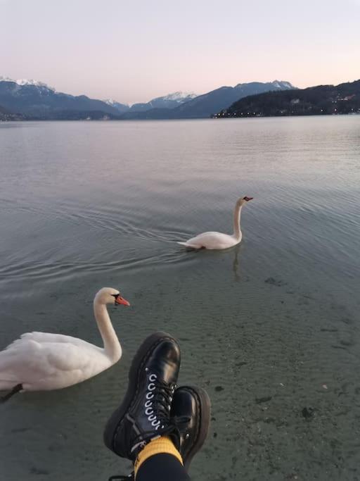 Cocon A La Campagne,Proche Annecy Leilighet Alby-sur-Cheran Eksteriør bilde