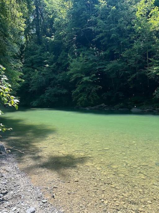 Cocon A La Campagne,Proche Annecy Leilighet Alby-sur-Cheran Eksteriør bilde