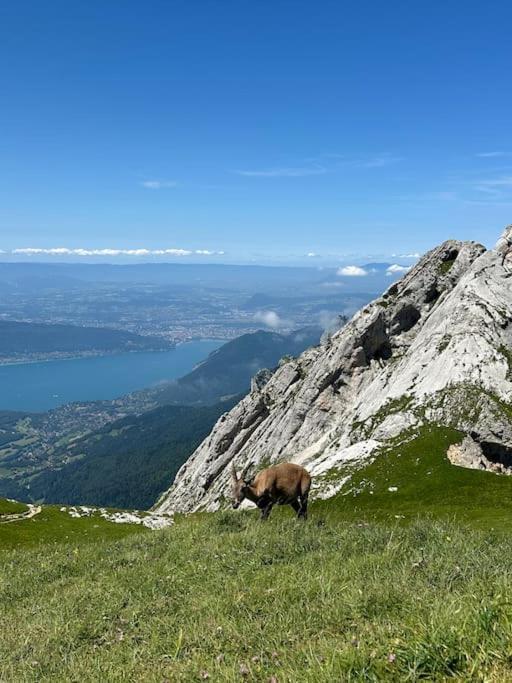 Cocon A La Campagne,Proche Annecy Leilighet Alby-sur-Cheran Eksteriør bilde